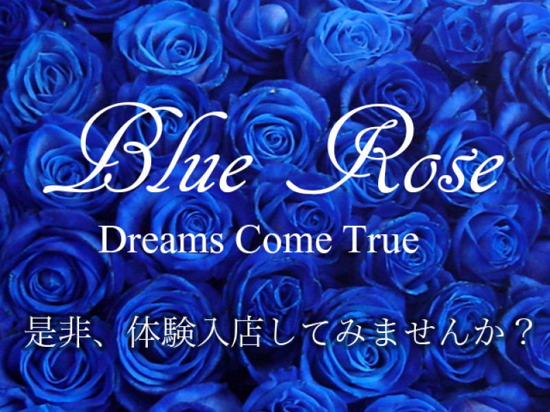 Blue Rose(ブルーローズ)❤